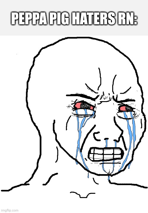 cry wojak | PEPPA PIG HATERS RN: | image tagged in cry wojak | made w/ Imgflip meme maker
