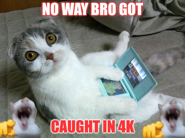 wat | NO WAY BRO GOT; CAUGHT IN 4K | image tagged in cats w/ computers | made w/ Imgflip meme maker