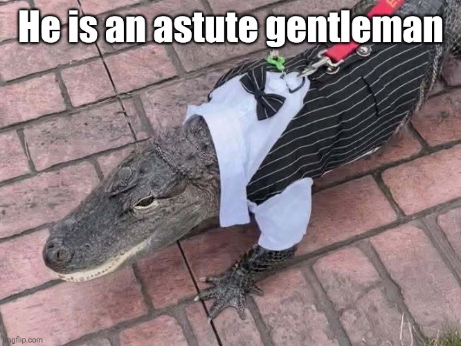 He is an astute gentleman | made w/ Imgflip meme maker