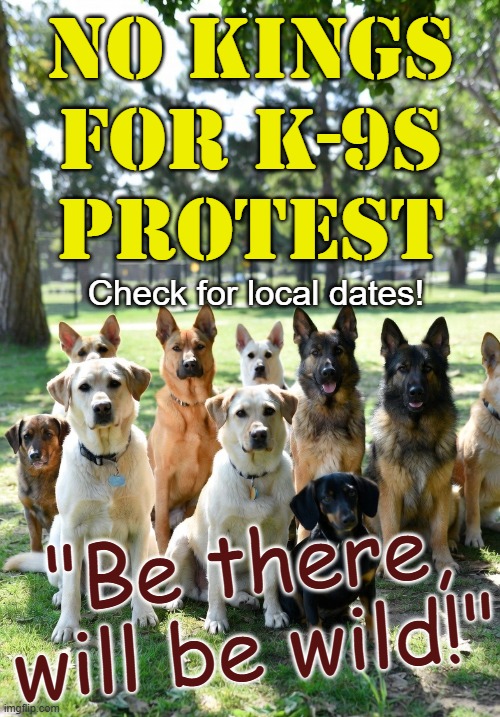 No Kings for K9s Protest - Be there, will be wild! | No Kings for K-9s
Protest; Check for local dates! "Be there, will be wild!" | image tagged in no kings for k-9s protest dogs in a row park,trump,maga,capitol riot,white nationalism,autocracy | made w/ Imgflip meme maker