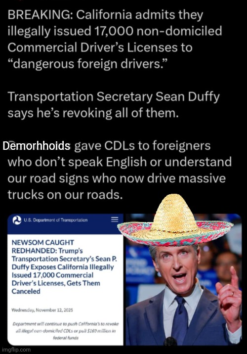 Gavin Newsom's CDL scam | Demorhhoids | image tagged in gavin,hair,oil,license | made w/ Imgflip meme maker