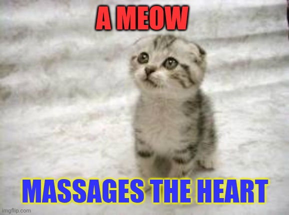 Meow | A MEOW; MASSAGES THE HEART | image tagged in memes,sad cat | made w/ Imgflip meme maker