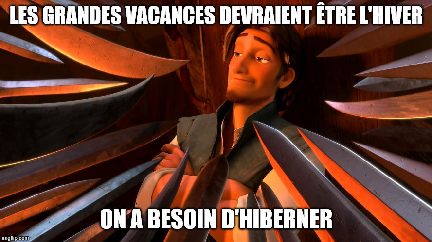 Unpopular Opinion Flynn | LES GRANDES VACANCES DEVRAIENT ÊTRE L'HIVER; ON A BESOIN D'HIBERNER | image tagged in unpopular opinion flynn | made w/ Imgflip meme maker