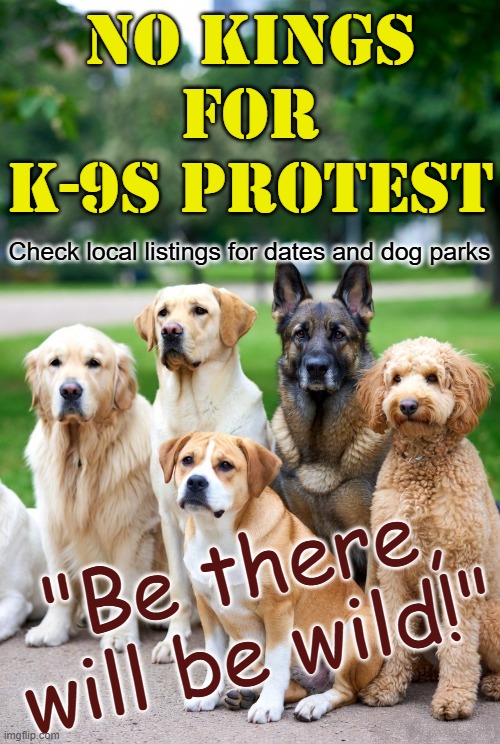 No Kings for K9s Protest - Be there, will be wild! | No Kings for K-9s protest; Check local listings for dates and dog parks; "Be there, will be wild!" | image tagged in no kings for k-9s protest dogs in a row park,funny,humorous,dogs,pets,american | made w/ Imgflip meme maker