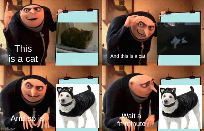 Gru's Plan | This is a cat; And this is a cat; And so is; Wait a fn minute | image tagged in memes,gru's plan,cats,funny | made w/ Imgflip meme maker