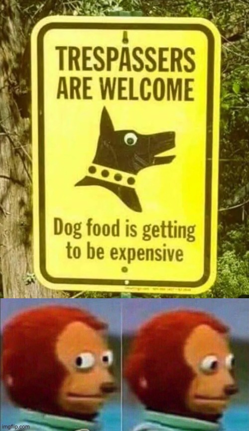 image tagged in monkey looking away | made w/ Imgflip meme maker