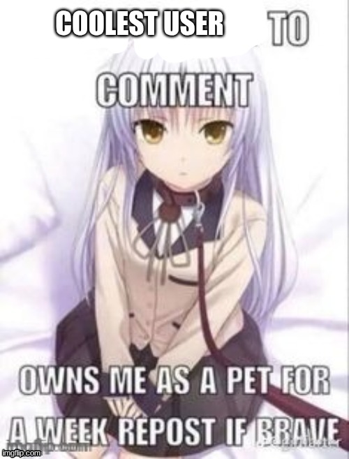 coolest user | COOLEST USER | made w/ Imgflip meme maker