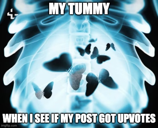 Butterflies in my tummy | MY TUMMY; WHEN I SEE IF MY POST GOT UPVOTES | image tagged in butterflies in my tummy | made w/ Imgflip meme maker