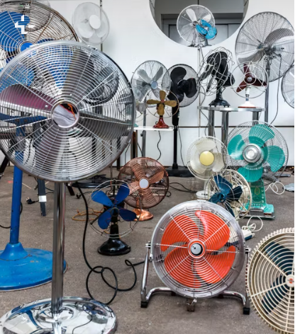 My fans Blank Meme Template