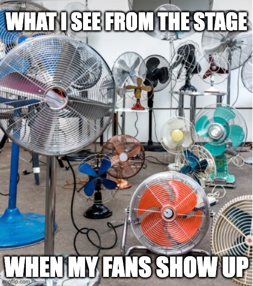 You're my biggest fan | WHAT I SEE FROM THE STAGE; WHEN MY FANS SHOW UP | image tagged in my fans | made w/ Imgflip meme maker
