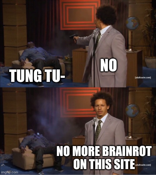 no brainrot ever | NO; TUNG TU-; NO MORE BRAINROT ON THIS SITE | image tagged in memes,who killed hannibal | made w/ Imgflip meme maker