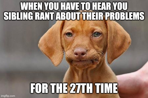 Error | WHEN YOU HAVE TO HEAR YOU SIBLING RANT ABOUT THEIR PROBLEMS; FOR THE 27TH TIME | image tagged in dissapointed puppy,spelling error | made w/ Imgflip meme maker