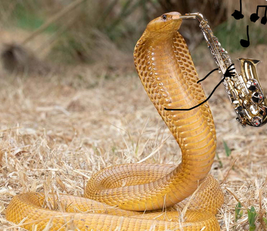 High Quality Asher 1234 Blank Meme Template