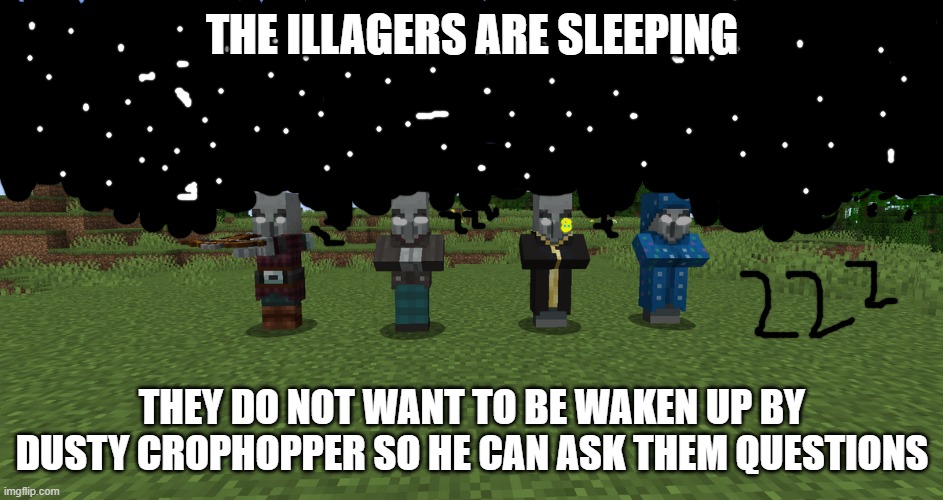 Illagers | THE ILLAGERS ARE SLEEPING; THEY DO NOT WANT TO BE WAKEN UP BY DUSTY CROPHOPPER SO HE CAN ASK THEM QUESTIONS | image tagged in illagers | made w/ Imgflip meme maker