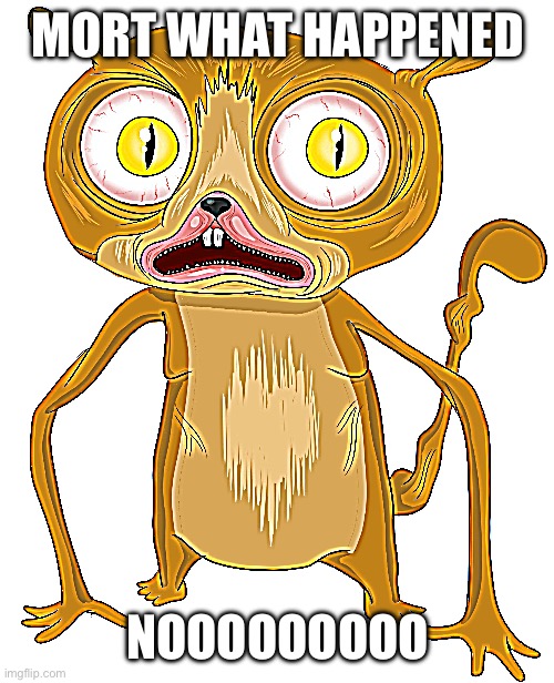 Asher 12345 | MORT WHAT HAPPENED; NOOOOOOOOO | image tagged in asher 12345 | made w/ Imgflip meme maker