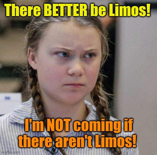 Angry Greta Thunberg | There BETTER be Limos! I'm NOT coming if there aren't Limos! | image tagged in angry greta thunberg | made w/ Imgflip meme maker