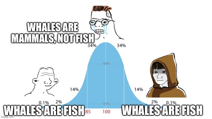 99% graph | WHALES ARE MAMMALS, NOT FISH; WHALES ARE FISH; WHALES ARE FISH | image tagged in 99 graph | made w/ Imgflip meme maker