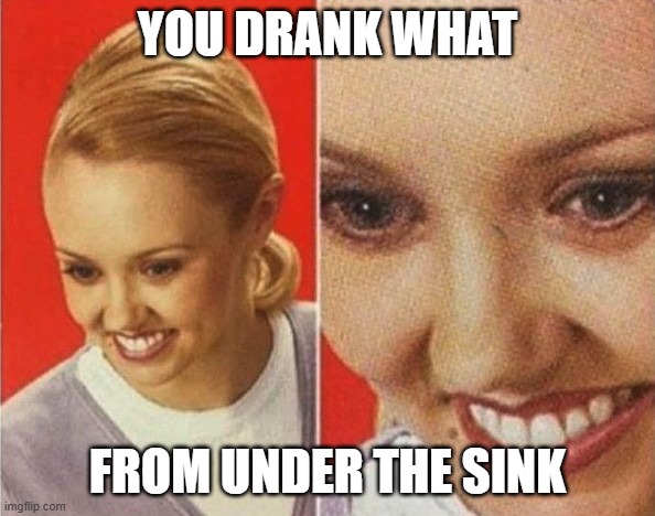 the forbidden cool-ade | YOU DRANK WHAT; FROM UNDER THE SINK | image tagged in the what | made w/ Imgflip meme maker