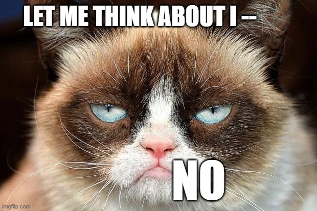 Grumpy Cat Not Amused Meme | LET ME THINK ABOUT I -- NO | image tagged in memes,grumpy cat not amused,grumpy cat | made w/ Imgflip meme maker