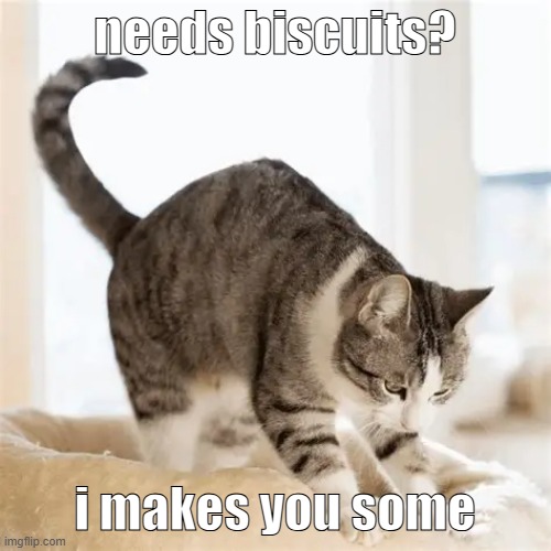 needs biscuits? i makes you some | made w/ Imgflip meme maker