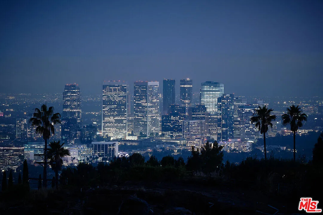 Los Angeles CA Blank Meme Template