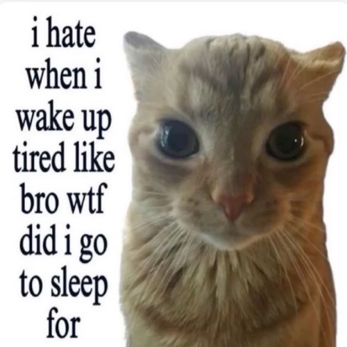 i had to nap again even though i slept like, 10 hours or smth | made w/ Imgflip meme maker