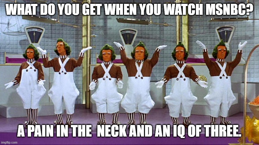 Oompa Loompas | WHAT DO YOU GET WHEN YOU WATCH MSNBC? A PAIN IN THE  NECK AND AN IQ OF THREE. | image tagged in oompa loompas | made w/ Imgflip meme maker