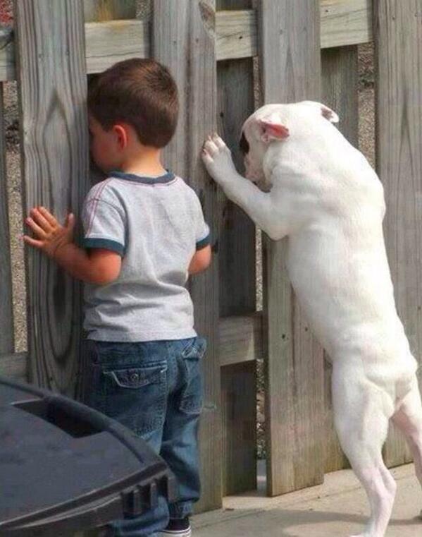 Chrisjoines1 Blank Meme Template