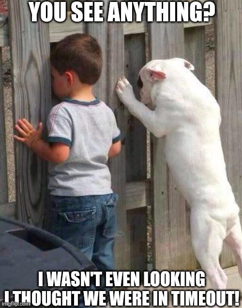 You See Anything? | YOU SEE ANYTHING? I WASN'T EVEN LOOKING I THOUGHT WE WERE IN TIMEOUT! | image tagged in chrisjoines1 | made w/ Imgflip meme maker
