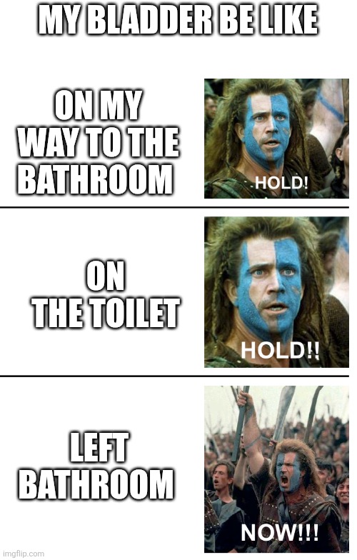 Ugh | MY BLADDER BE LIKE; ON MY WAY TO THE BATHROOM; ON THE TOILET; LEFT BATHROOM | image tagged in hold hold now,pee,peeing | made w/ Imgflip meme maker