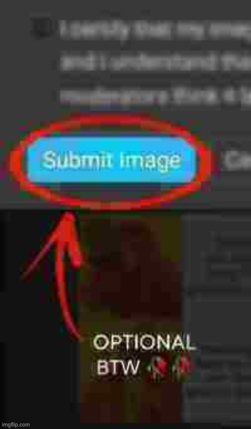 optional btw | image tagged in optional btw | made w/ Imgflip meme maker