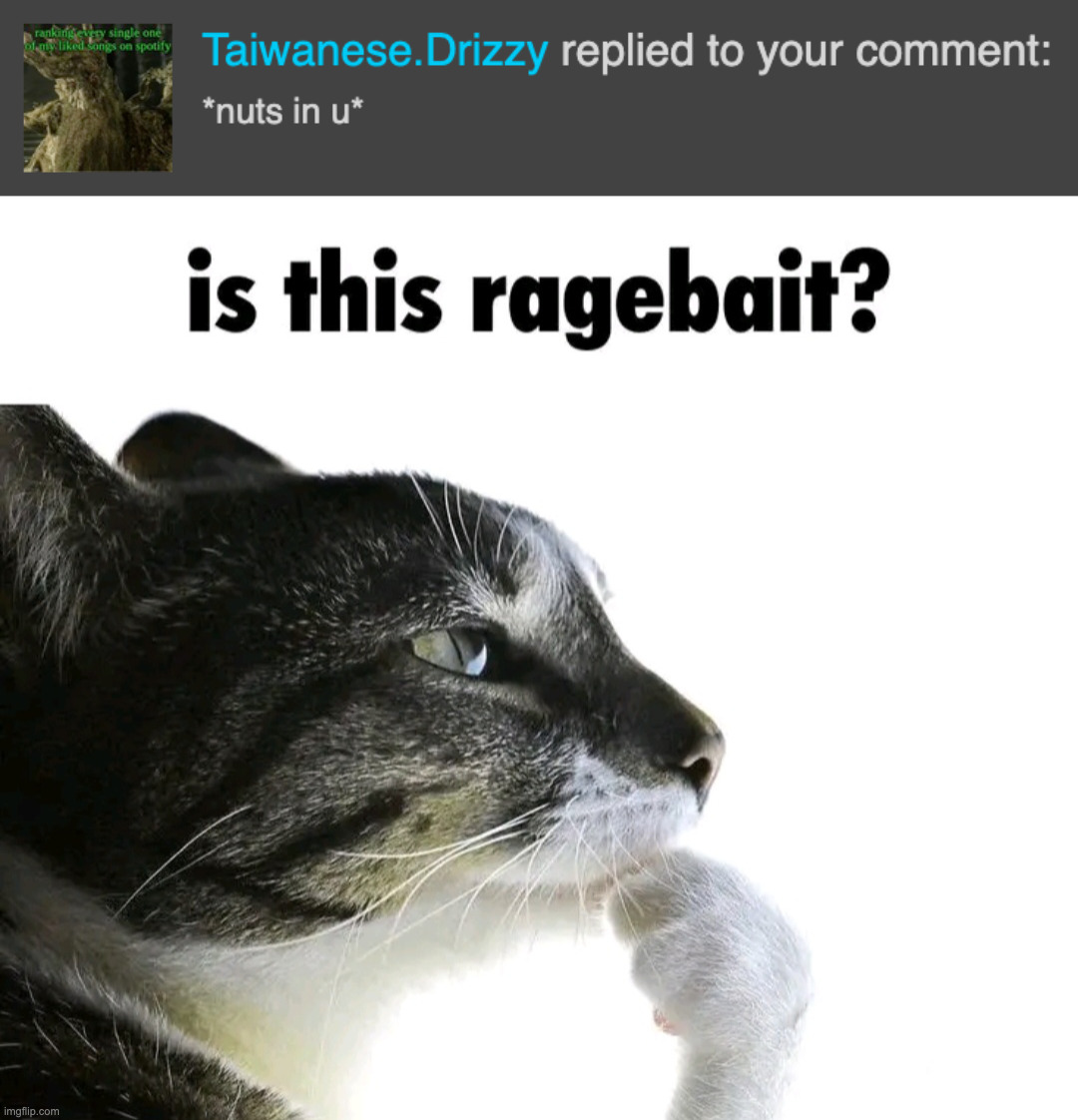 image tagged in is this ragebait | made w/ Imgflip meme maker