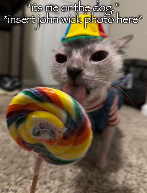 imma be deadass id pull some shit like that for my animals | “its me or the dog.”
*insert john wick photo here* | image tagged in silly goober | made w/ Imgflip meme maker