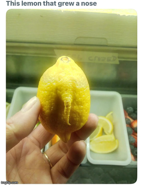 unacceptable | made w/ Imgflip meme maker