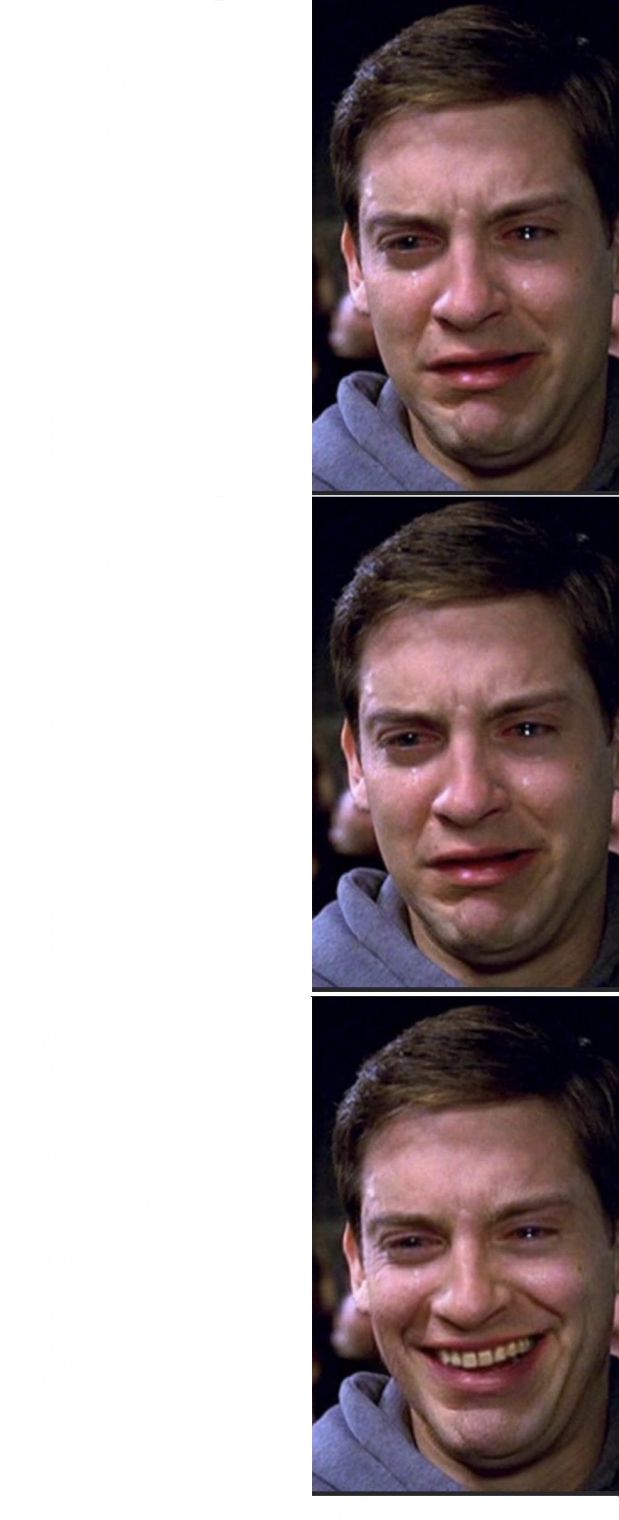 Spidey dude Blank Meme Template