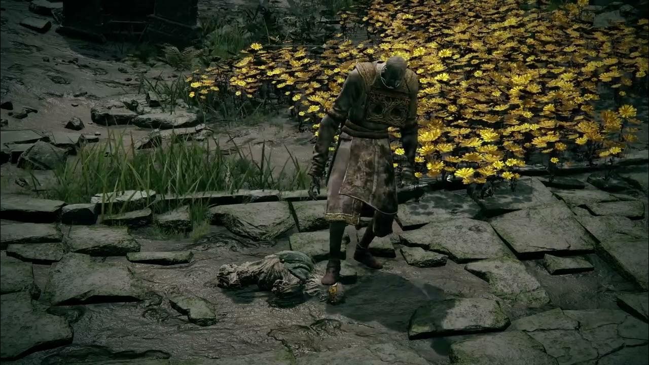 Gostoc stomping Godrick Blank Meme Template