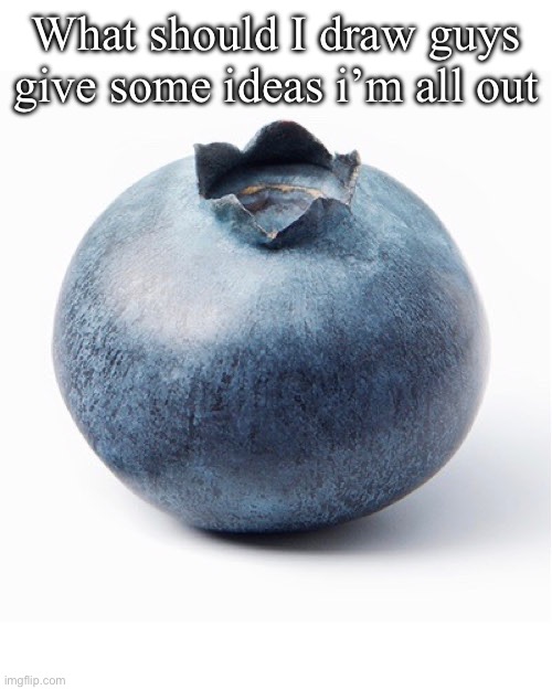 Blueberry | What should I draw guys give some ideas i’m all out | made w/ Imgflip meme maker