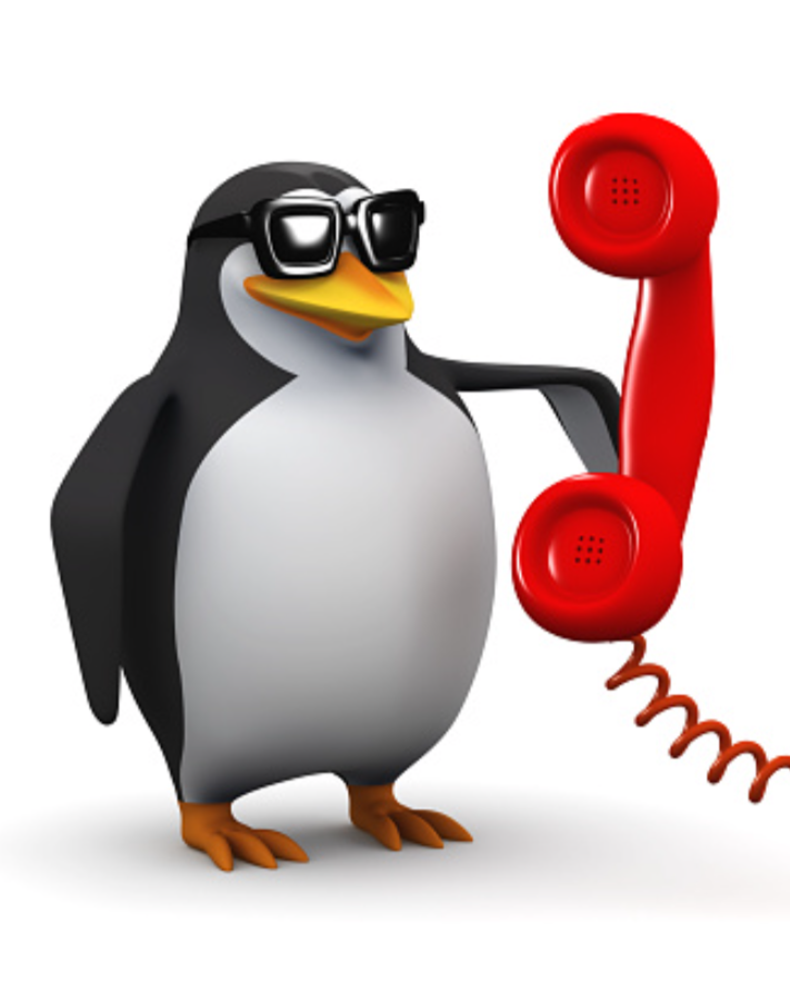 Pinguim Blank Meme Template