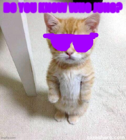 Juno | DO YOU KNOW WHO JUNO? | image tagged in juno | made w/ Imgflip meme maker