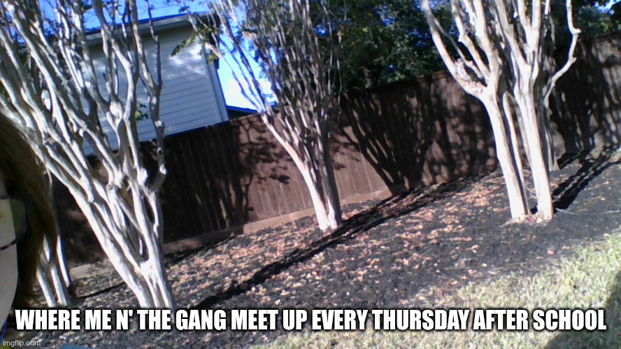 its js where we hang and worpship | WHERE ME N' THE GANG MEET UP EVERY THURSDAY AFTER SCHOOL | made w/ Imgflip meme maker