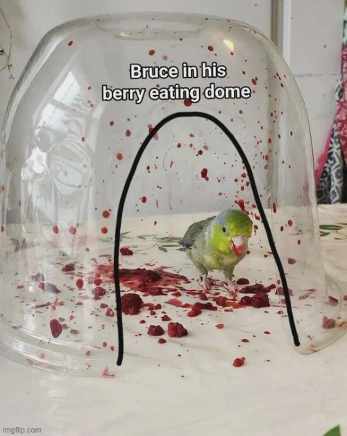 image tagged in rmk | made w/ Imgflip meme maker