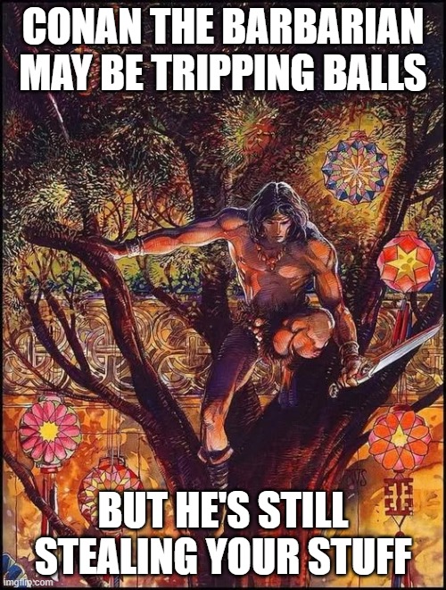 conan be tripping | CONAN THE BARBARIAN MAY BE TRIPPING BALLS; BUT HE'S STILL STEALING YOUR STUFF | image tagged in conan the barbarian,hallucinations | made w/ Imgflip meme maker
