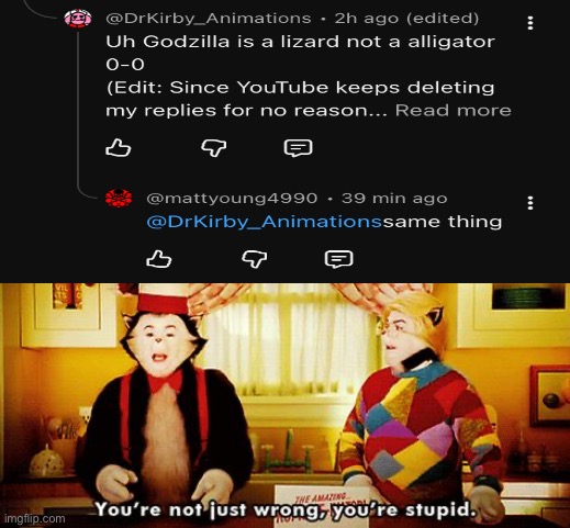 No, alligators are NOT Lizards | image tagged in you're not just wrong you're stupid | made w/ Imgflip meme maker