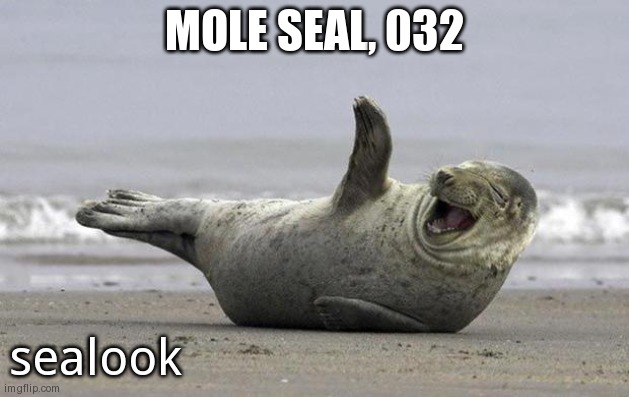 laughing seal | MOLE SEAL, 032; sealook | image tagged in laughing seal | made w/ Imgflip meme maker