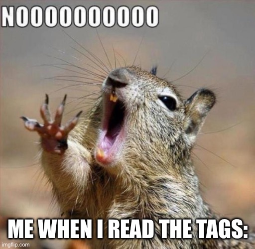 noooooooooooooooooooooooo | ME WHEN I READ THE TAGS: | image tagged in noooooooooooooooooooooooo | made w/ Imgflip meme maker
