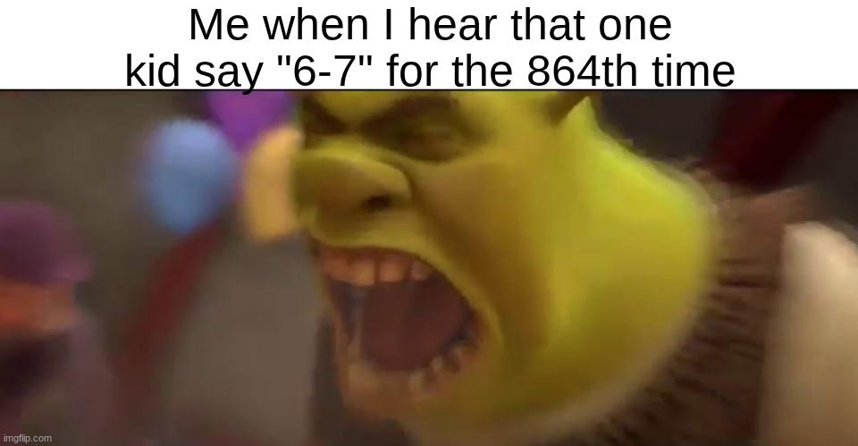 Why would some 12 year old kid ruin the internet | Me when I hear that one kid say "6-7" for the 864th time | image tagged in shrek screaming | made w/ Imgflip meme maker