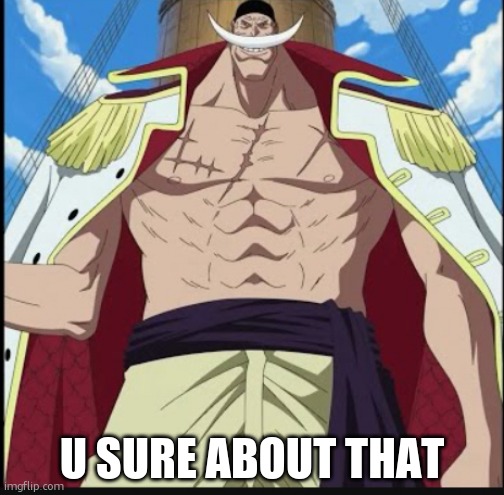 U SURE ABOUT THAT | image tagged in whitebeard the greatest meme | made w/ Imgflip meme maker