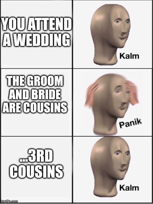 Sweet Home Alabama moment | YOU ATTEND A WEDDING; THE GROOM AND BRIDE ARE COUSINS; ...3RD COUSINS | image tagged in kalm panik kalm | made w/ Imgflip meme maker