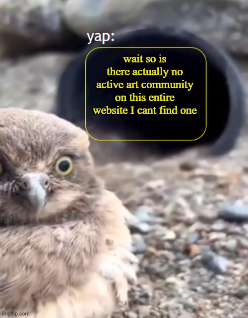 there was one called "artwork" that was last used 5 years ago | wait so is there actually no active art community on this entire website I cant find one | image tagged in parannouncements lazy | made w/ Imgflip meme maker