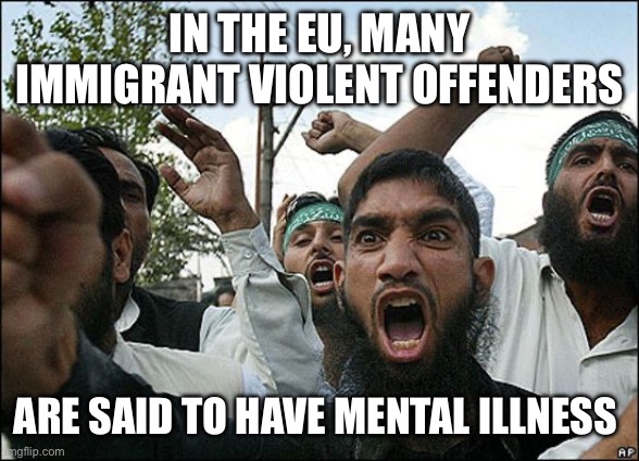 IN THE EU, MANY IMMIGRANT VIOLENT OFFENDERS ARE SAID TO HAVE MENTAL ILLNESS | image tagged in terrorists in ky | made w/ Imgflip meme maker